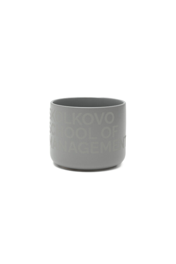 Кружка SKOLKOVO серая